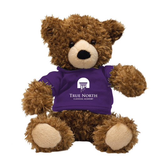True North Teddy Bear with Purple T-Shirt